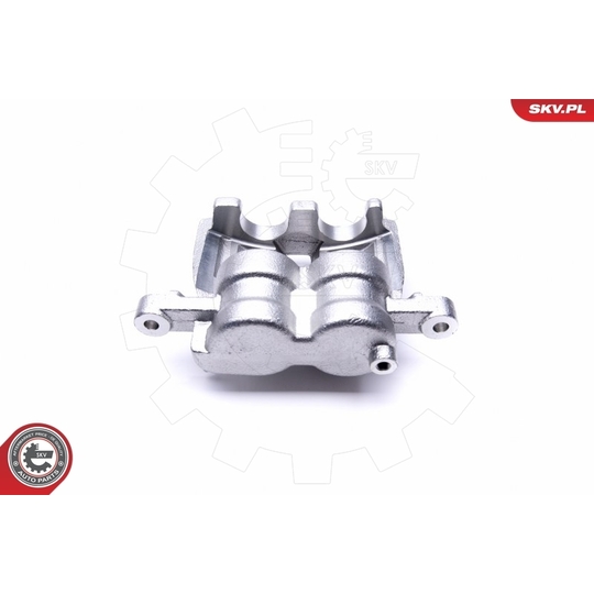 46SKV774 - Brake Caliper 