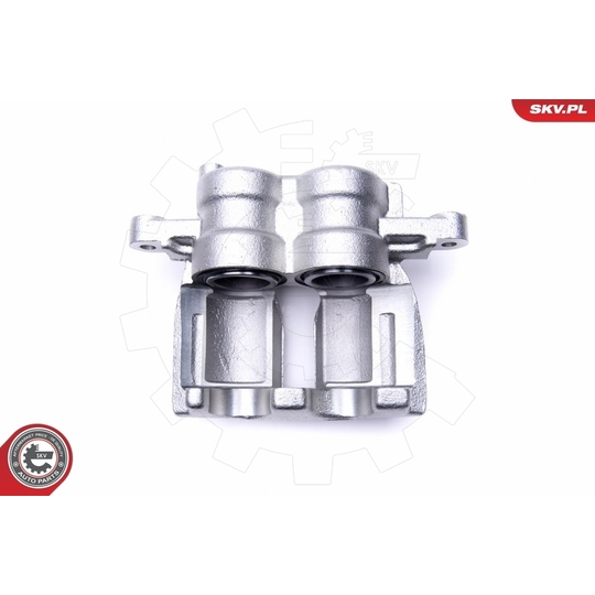 46SKV774 - Brake Caliper 