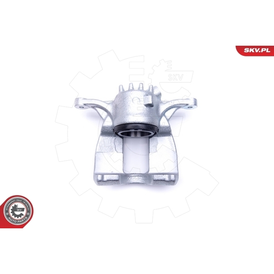 46SKV232 - Brake Caliper 