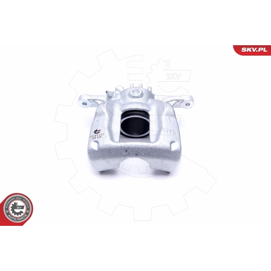 46SKV232 - Brake Caliper 