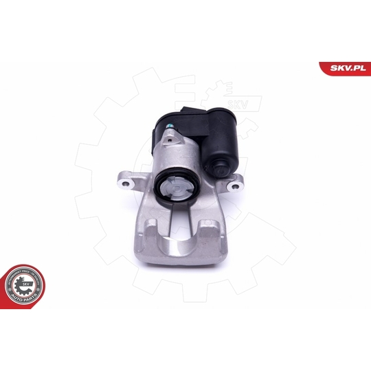 46SKV894 - Brake Caliper 