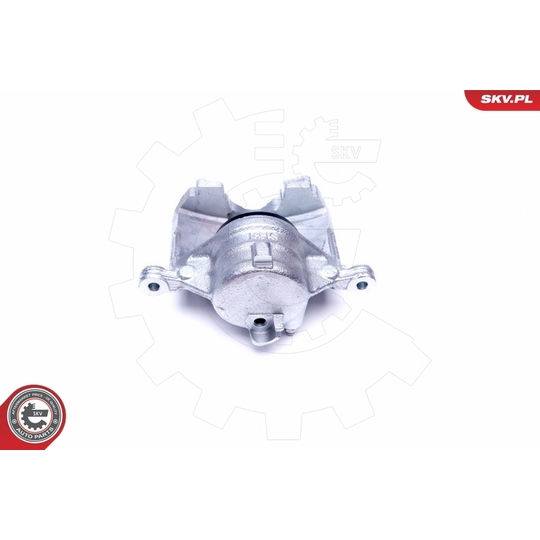 42SKV801 - Brake Caliper 