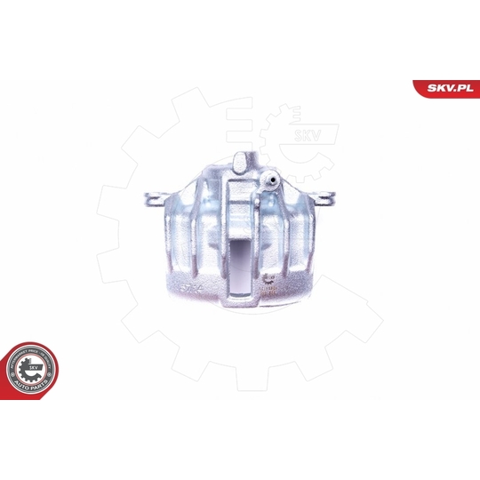 42SKV801 - Brake Caliper 