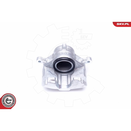 42SKV801 - Brake Caliper 