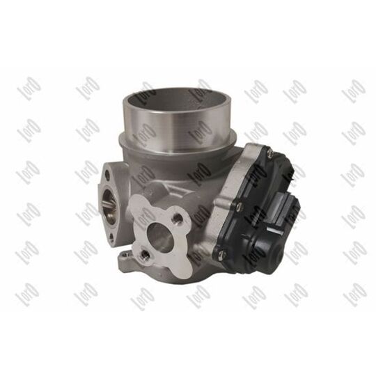 121-01-110 - EGR Valve 