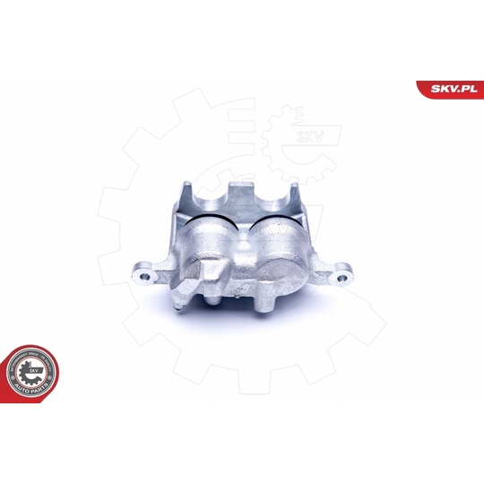 44SKV231 - Brake Caliper 