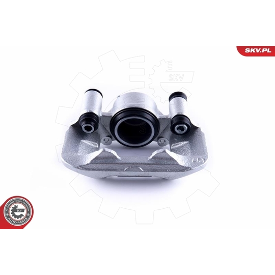 55SKV301 - Brake Caliper 