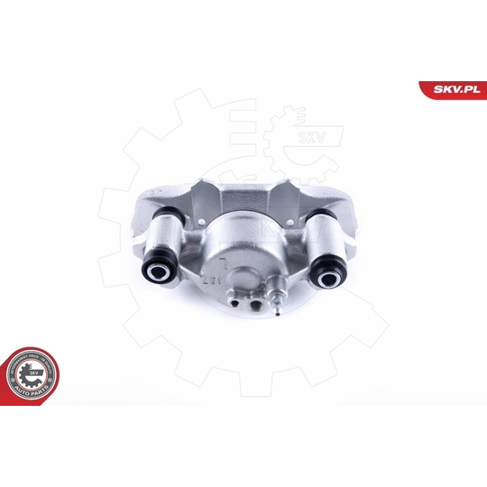 55SKV301 - Brake Caliper 