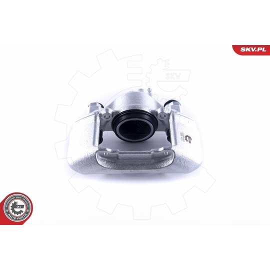 55SKV301 - Brake Caliper 