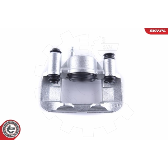 55SKV301 - Brake Caliper 