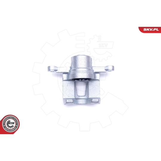 45SKV343 - Brake Caliper 