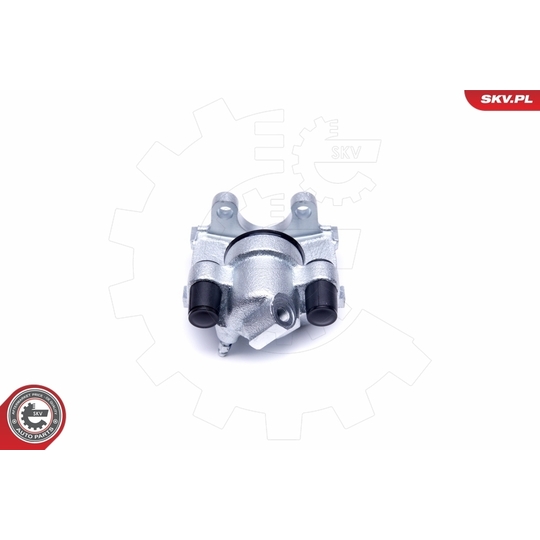 50SKV233 - Brake Caliper 