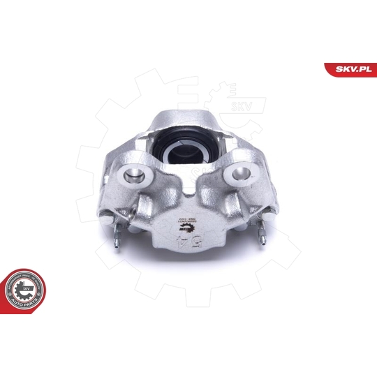 55SKV401 - Brake Caliper 