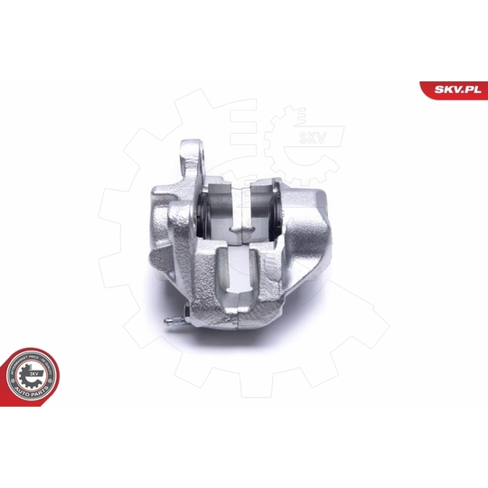 55SKV401 - Brake Caliper 