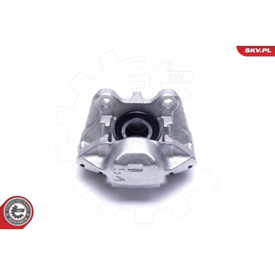 55SKV401 - Brake Caliper 