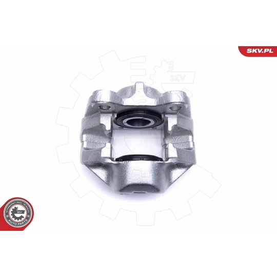 55SKV401 - Brake Caliper 