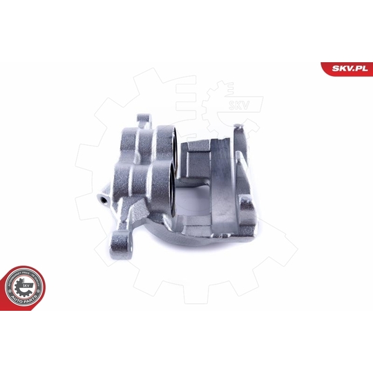 50SKV021 - Brake Caliper 