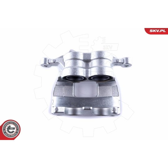 50SKV021 - Brake Caliper 