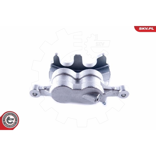 50SKV021 - Brake Caliper 