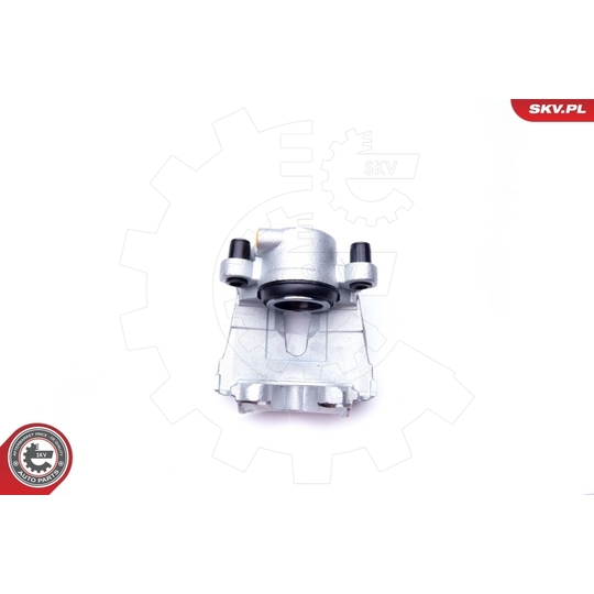 42SKV372 - Brake Caliper 