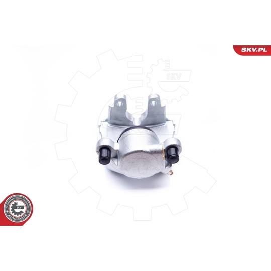 42SKV372 - Brake Caliper 