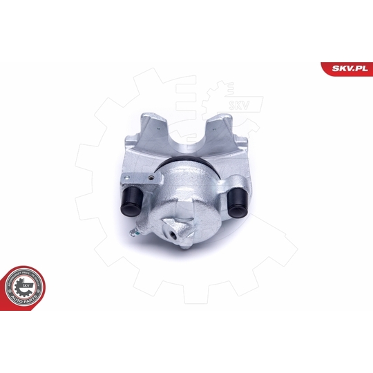 50SKV302 - Brake Caliper 