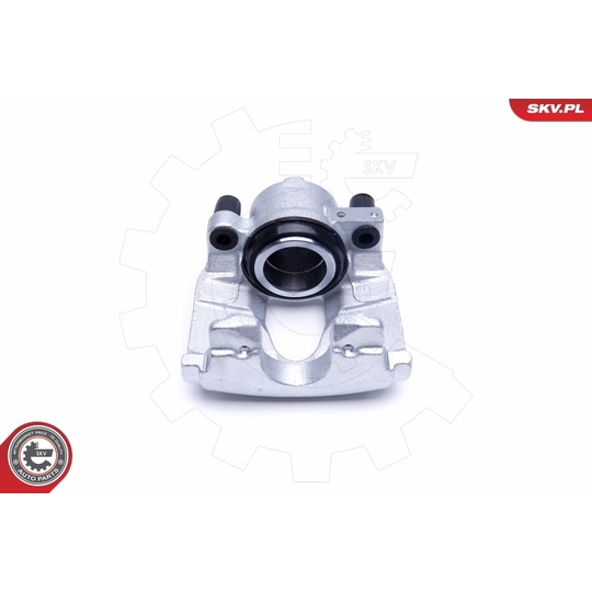 50SKV302 - Brake Caliper 