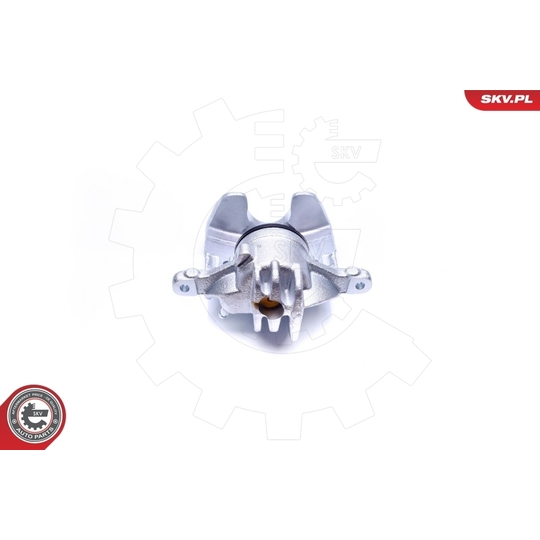 42SKV782 - Brake Caliper 