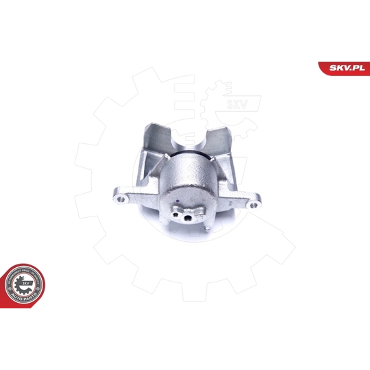 44SKV861 - Brake Caliper 