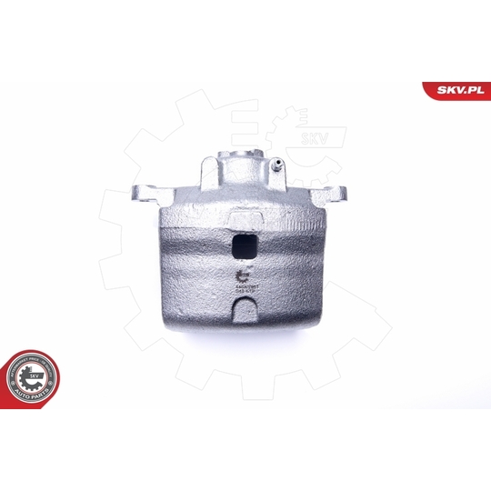 44SKV861 - Brake Caliper 