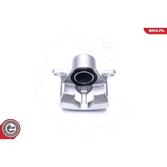 44SKV861 - Brake Caliper 