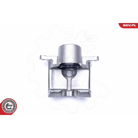 44SKV861 - Brake Caliper 