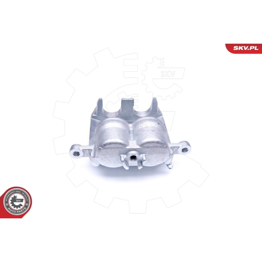 42SKV982 - Brake Caliper 