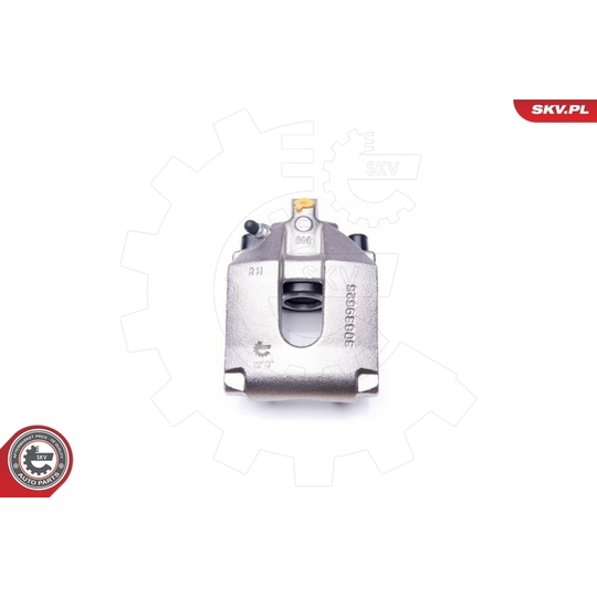 34SKV524 - Brake Caliper 