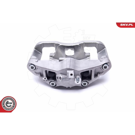 55SKV621 - Brake Caliper 