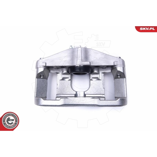 55SKV621 - Brake Caliper 