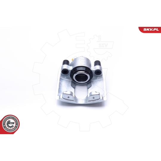 42SKV191 - Brake Caliper 