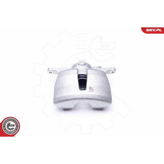 44SKV981 - Brake Caliper 