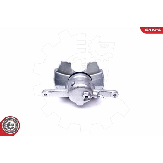 44SKV981 - Brake Caliper 