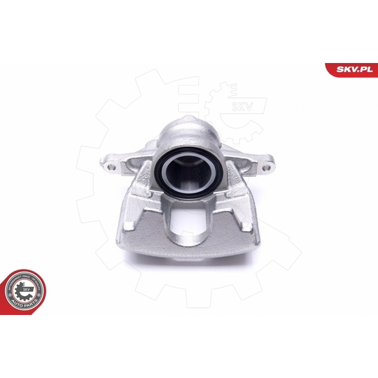 46SKV961 - Brake Caliper 