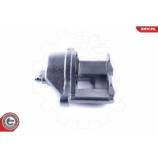 55SKV461 - Brake Caliper 