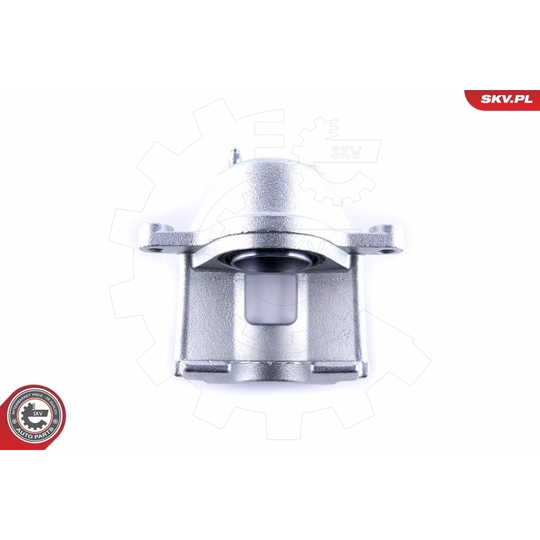 55SKV461 - Brake Caliper 