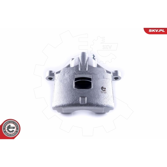 55SKV461 - Brake Caliper 