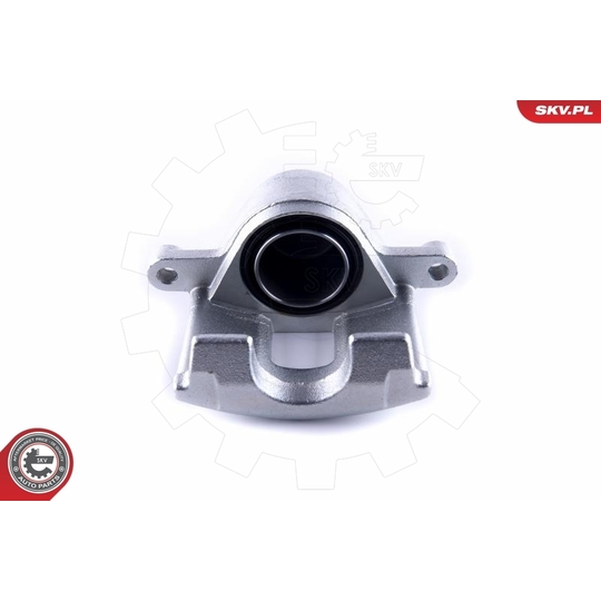 55SKV461 - Brake Caliper 