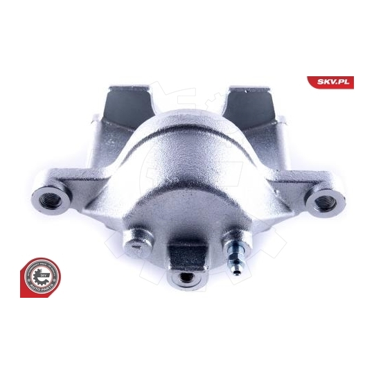 55SKV461 - Brake Caliper 