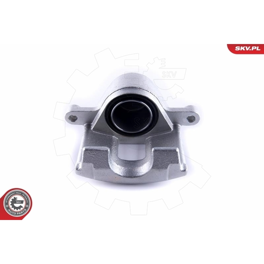 55SKV462 - Brake Caliper 