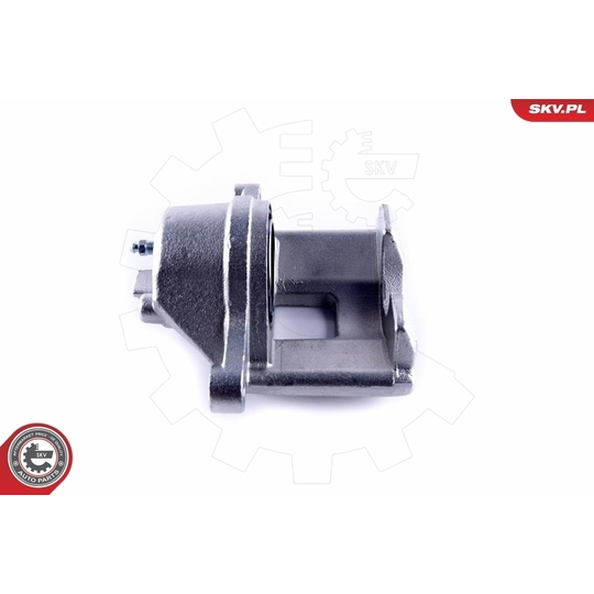 55SKV462 - Brake Caliper 