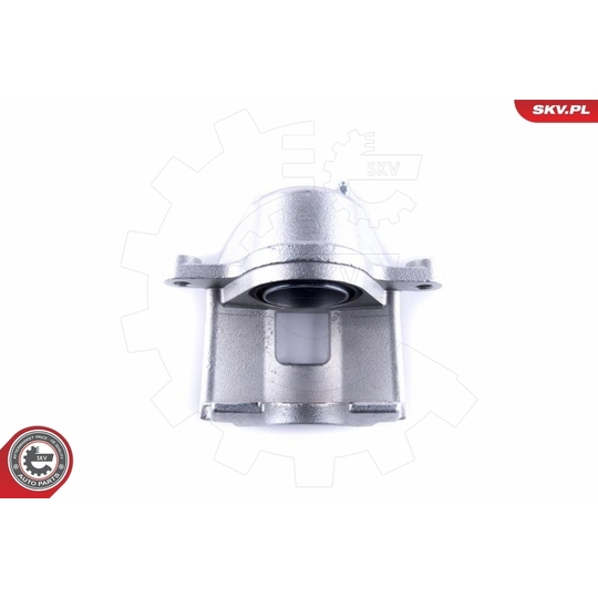 55SKV462 - Brake Caliper 