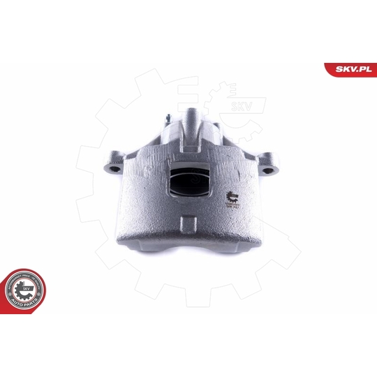 55SKV462 - Brake Caliper 