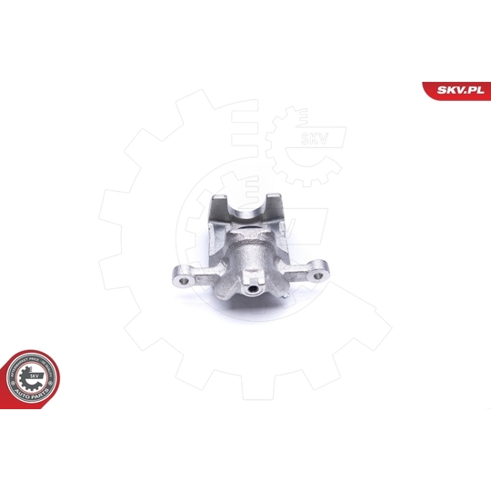 42SKV464 - Brake Caliper 